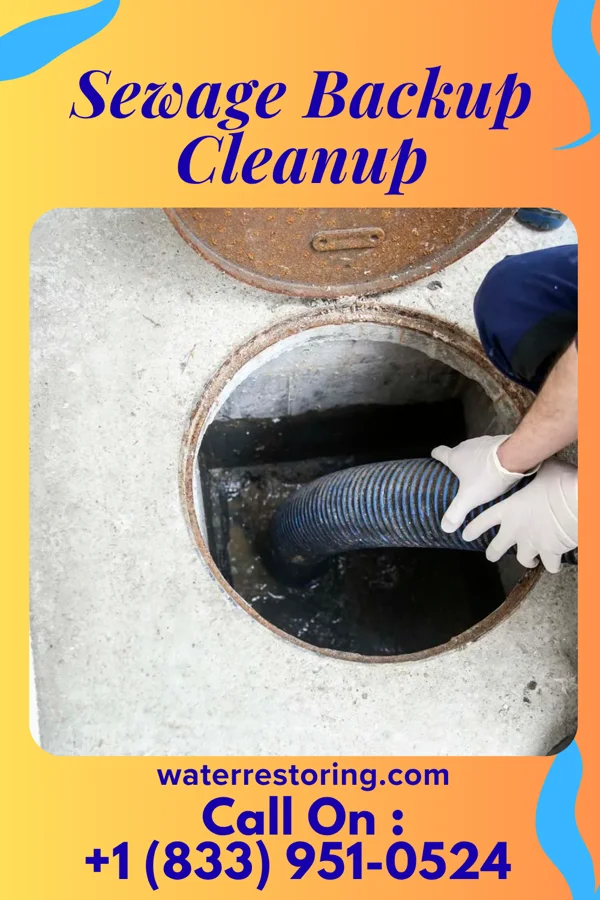 Sewage Backup Cleanup in Calvert Beach, MD