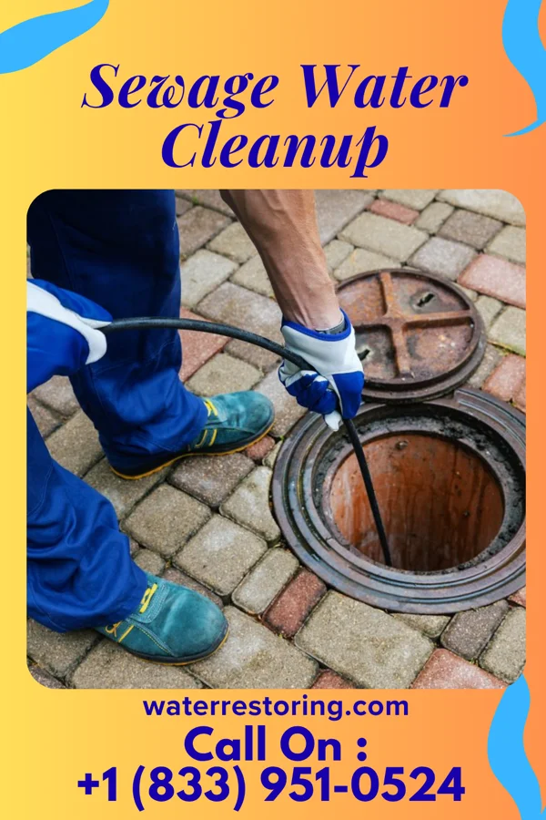 Sewage Water Cleanup in Calvert Beach, MD